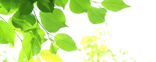 Non.A ノンエーサプリメント販売サイトへ